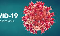 Featured image of post 我的新冠日记