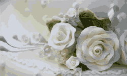 Featured image of post 每天都是 π 节，何必是今天